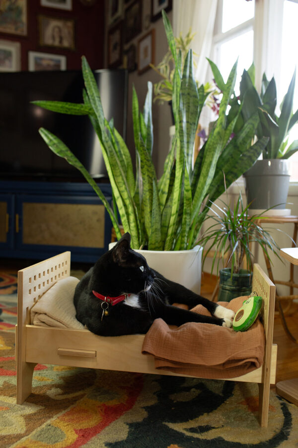 Modern Baltic Birch Cat Bed - Image 6